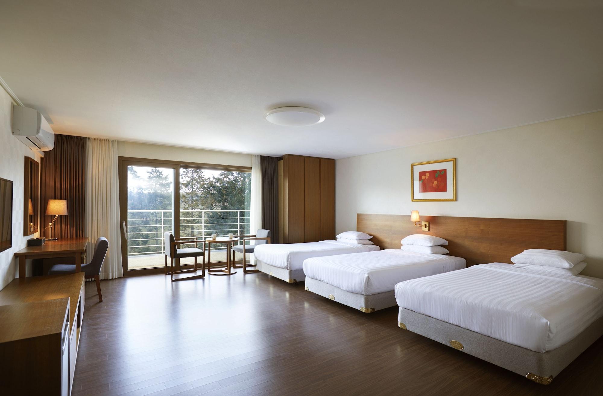 Jeju Aerospace Hotel Σεογκουίπο Εξωτερικό φωτογραφία
